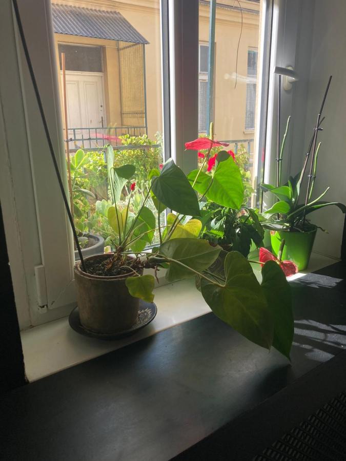 Apartament Oaza 26 Deo 2 Belgrad Zewnętrze zdjęcie